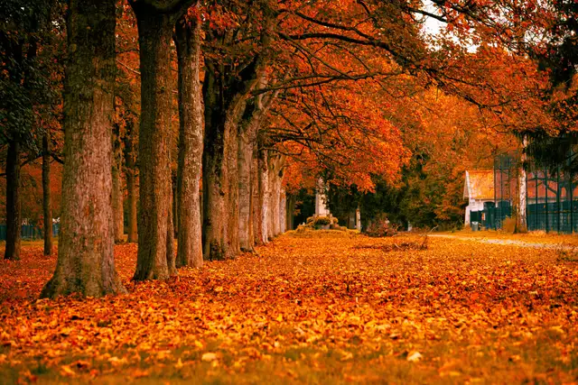 autumn holiday belgium